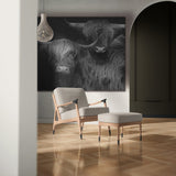 Deze afbeelding toont een Schotse hooglander schilderij op canvas in een chique interieur aan een witte wand boven een fauteuil. Dit zwart wit schilderij van Kontoer design komt uit de collectie canvas schilderijen met naam, Schotse hooglander canvas