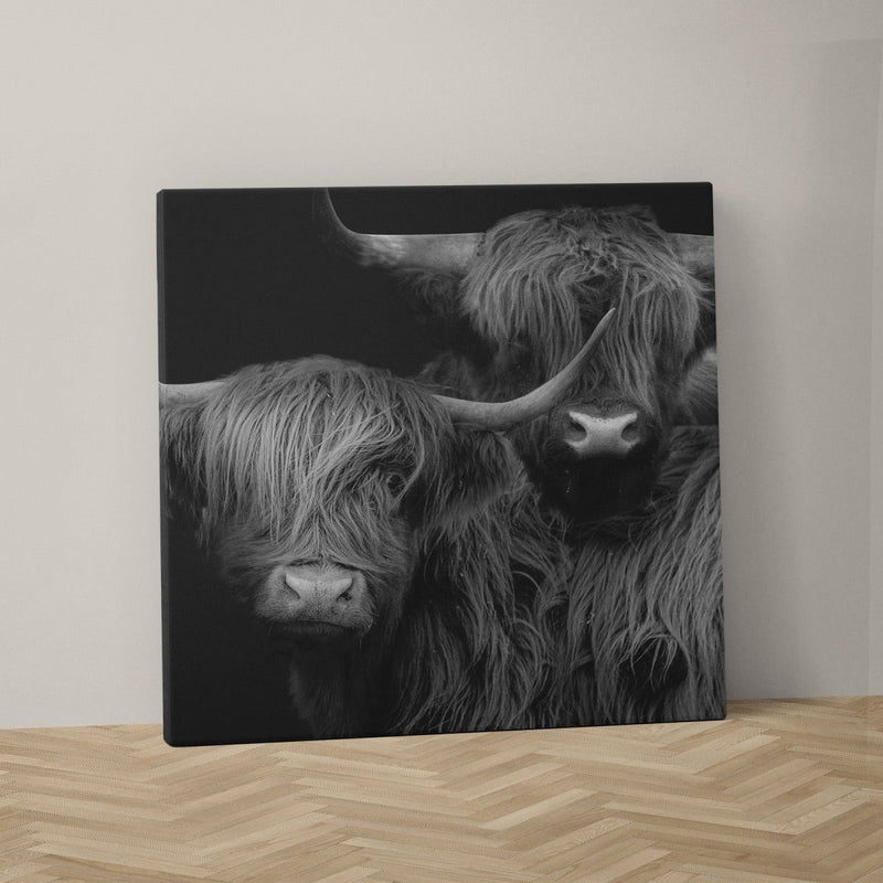 Canvas vierkant van een Schotse hoogland koe, ook wel Highlander op canvasdoek. Deze hooglander heeft grote hoorns en een ruige vacht. Het schilderij staat hier op de grond. 