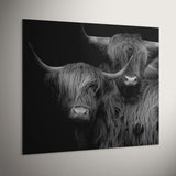 Dibond schilderij van een Schotse hooglander koppel in zwart wit. Deze Highland couple is gemaakt van aluminium dibond en hangt hier aan de muur. Het schilderij schotse hooglander is een maatwerk schilderij.