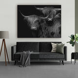 Highlander op dibond schilderij, dat is deze Highland couple. Twee prachtige Schotse hooglanders vereeuwigd op dibond. Hier hangt het Schotse hooglander schilderij en de woonkamer als wanddecoratie boven een bank.