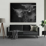 Twee Schotse hooglanders op geborsteld aluminium paneel, een waar maatwerk schilderij. De stoere wanddecoratie zie je hier boven een bank in een industrieel interieur. De kleurstelling van dit aluminium schilderij is zwart wit.