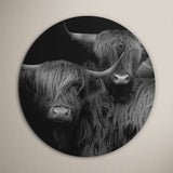 Muurcirkel schotse hooglander in zwart wit kleurstelling op een formaat naar keuze. Je ziet hier de wandcirkel aan de muur hangen inclusief ons gratis muurcirkel ophangsysteem. De wandcirkel schotse hooglander is gemaakt van aluminium dibond