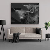 Plexiglas schilderij van een Schotse hooglander zwart wit met titel Highland couple. Deze wanddecoratie van plexiglas is gemaakt van acryl en hangt hier in de woonkamer boven een bank. Het schilderij plexiglas is gemaakt door Kontoer design