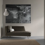 Een Schotse hooglander plexiglas schilderij in een modern interieur boven de bank, twee koeien uit Schotland met grote hoorns en ruige vacht in zwart wit. Hier hangt de wanddecoratie in de woonkamer tegen een witte wand