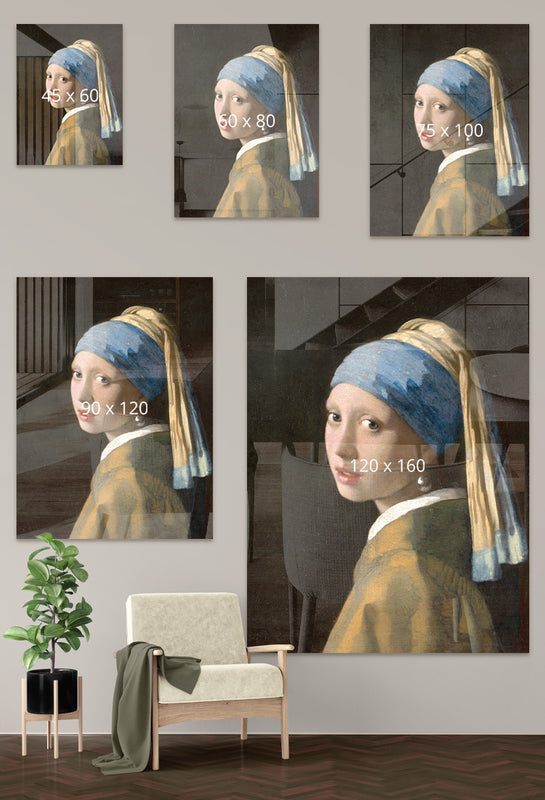 Johannes Vermeer schilderijen meisje met de parel