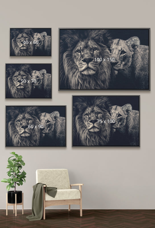 Lion couple op canvas met een lijst maattabel