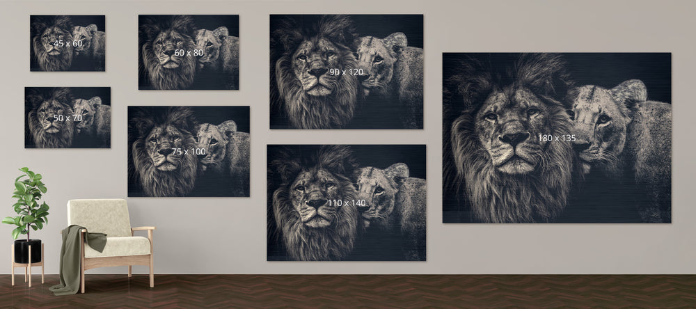Maattabel Lion couple op geborsteld aluminium