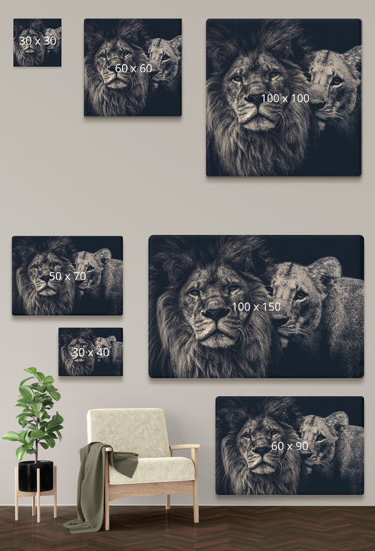 Leeuwen schilderij verschillende formaten