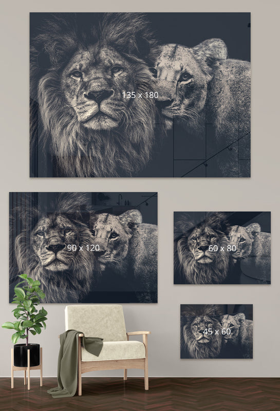 Lion Couple op plexiglas maattabel mobiel