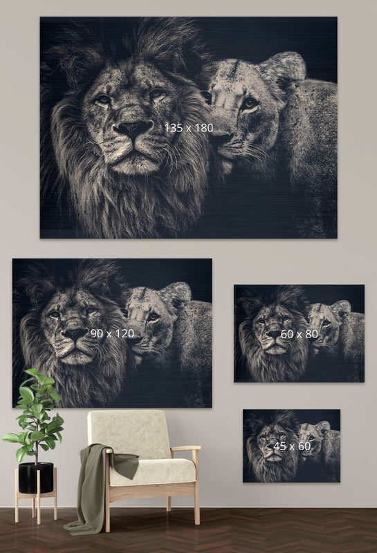 Lion couple op geborsteld aluminium maattabel mobiel