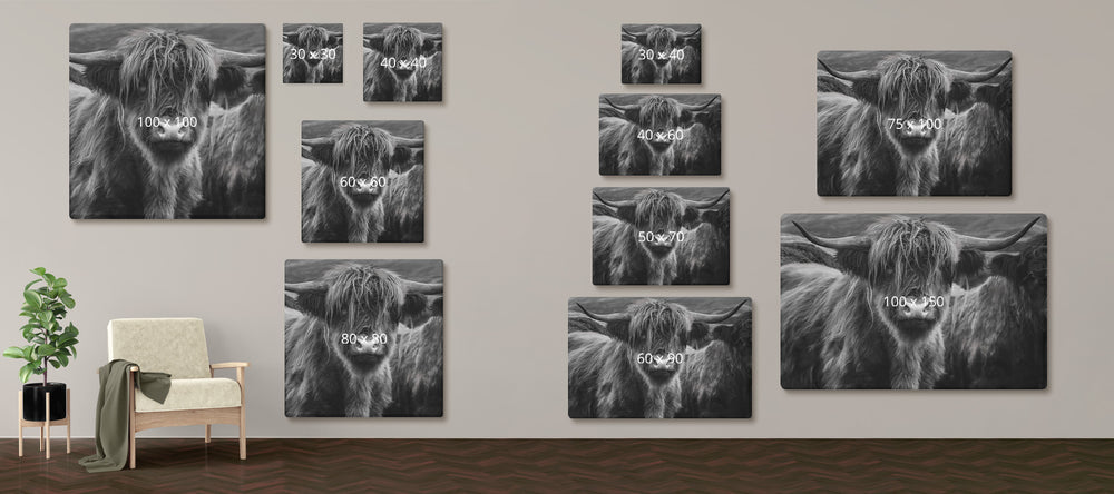 Bekijk hier alle formaten van ons schotse hooglander schilderij in zwart wit op canvas
