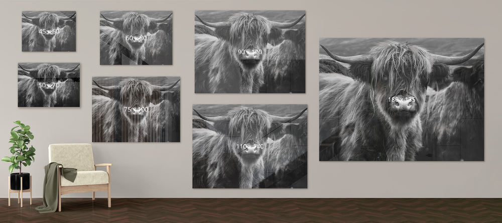 Bekijk hier het zwart wit schotse hooglander kop schilderij in alle formaten. 