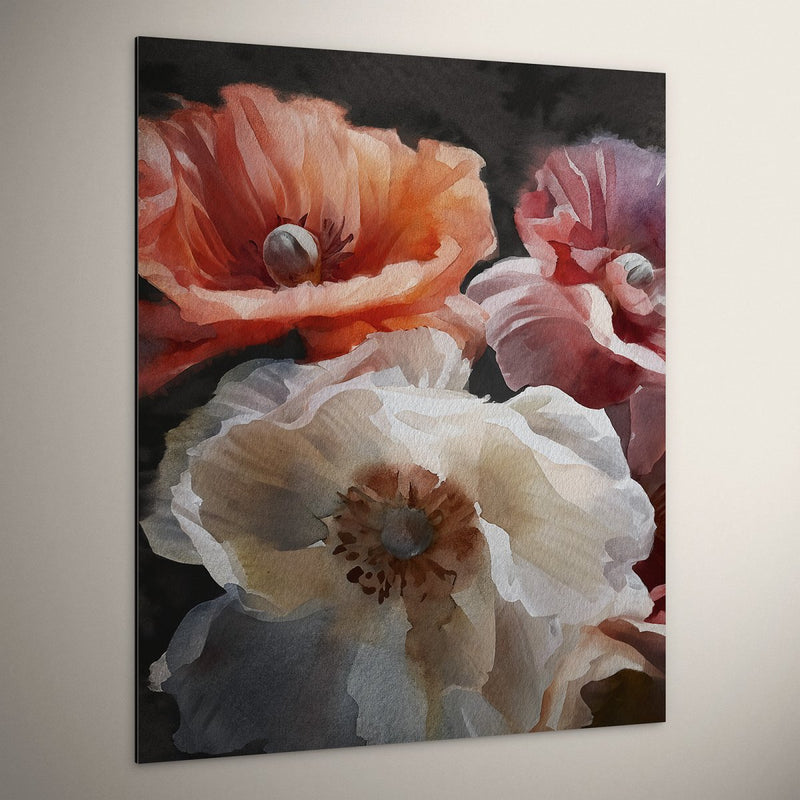 Dibond kunstwerk – moderne wanddecoratie met klaprozen in rood, wit en oranje tegen een diepe zwarte achtergrond