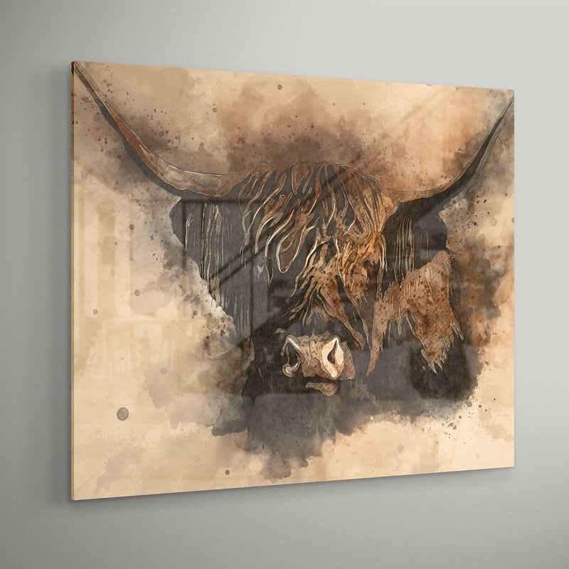 Schotse hooglander Bruce op plexiglas