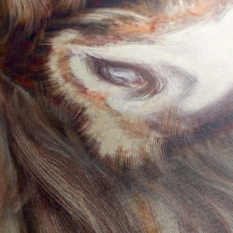 Close up van het schotse hooglander schilderij op canvas met lijst