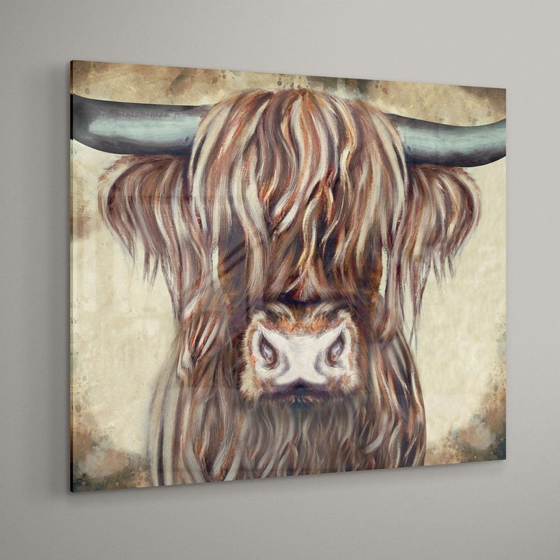 Schotse hooglander Colin op plexiglas