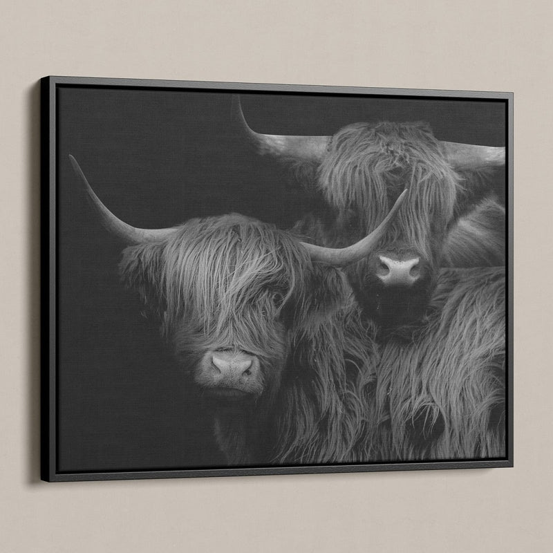 Hooglander schilderij in zwart wit met verhoogd contrast, ook wel Highland couple op canvas genoemd. Deze wanddecoratie van een Schotse hooglander paar word gedruk op canvas met lijst. 