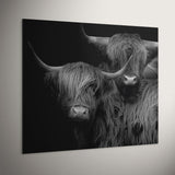 Dibond schilderij van een Schotse hooglander koppel in zwart wit. Deze Highland couple is gemaakt van aluminium dibond en hangt hier aan de muur. Het schilderij schotse hooglander is een maatwerk schilderij. 