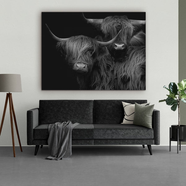 Highlander op dibond schilderij, dat is deze Highland couple. Twee prachtige Schotse hooglanders vereeuwigd op dibond. Hier hangt het Schotse hooglander schilderij en de woonkamer als wanddecoratie boven een bank. 