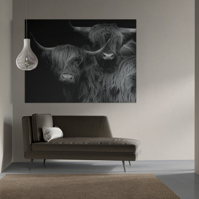 Schotse hooglander wanddecoratie op aluminium dibond schilderij in zwart wit met hoog contrast hangt hier in een modern interieur boven een bank. De muurdecoratie toont twee Hooglanders in hoekige vorm aan de wand. 