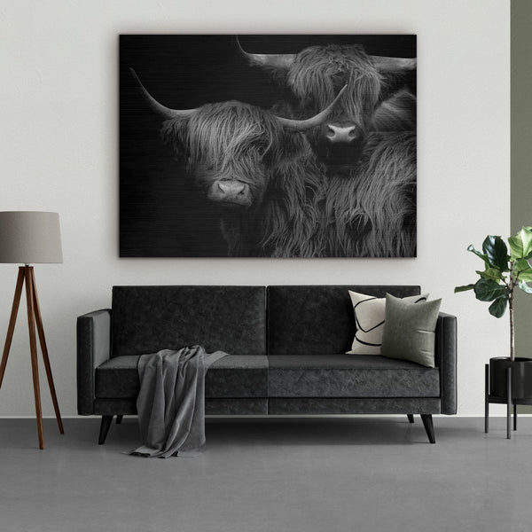 Twee Schotse hooglanders op geborsteld aluminium paneel, een waar maatwerk schilderij. De stoere wanddecoratie zie je hier boven een bank in een industrieel interieur. De kleurstelling van dit aluminium schilderij is zwart wit. 