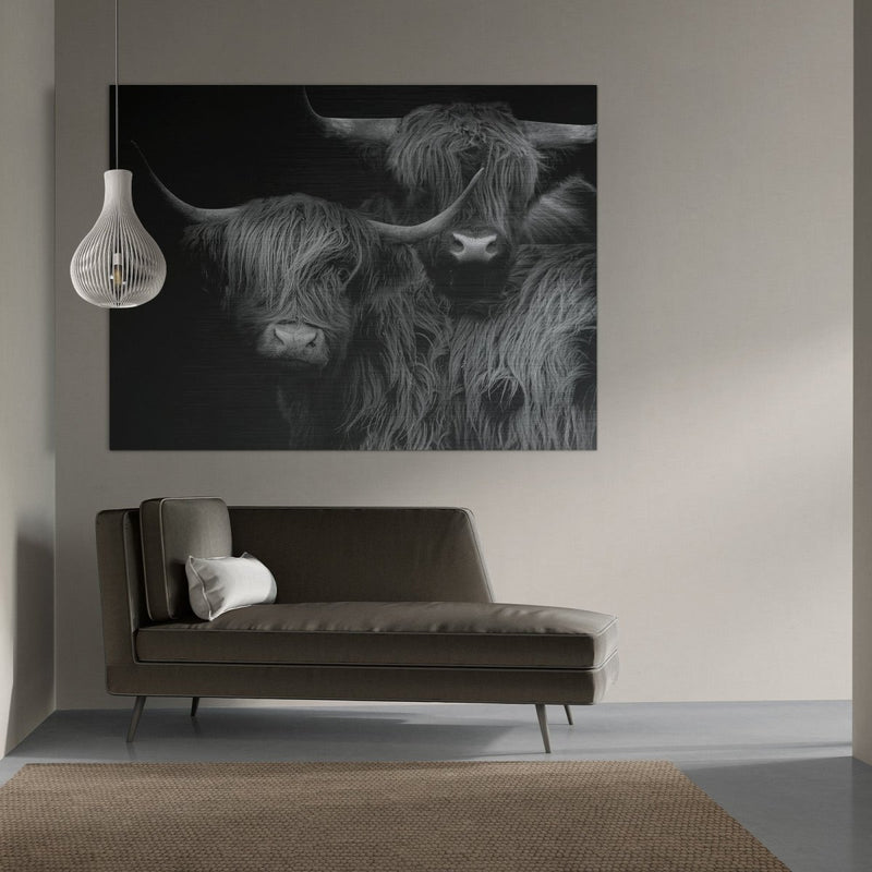 Schotse hooglander muurdecoratie op geborsteld aluminium in groot formaat. Het grote schilderij xxl is een zwart wit schilderij van Kontoer design. Twee prachtige koeien, een stoer en een Schotse hoogland koe in de woonkamer. 