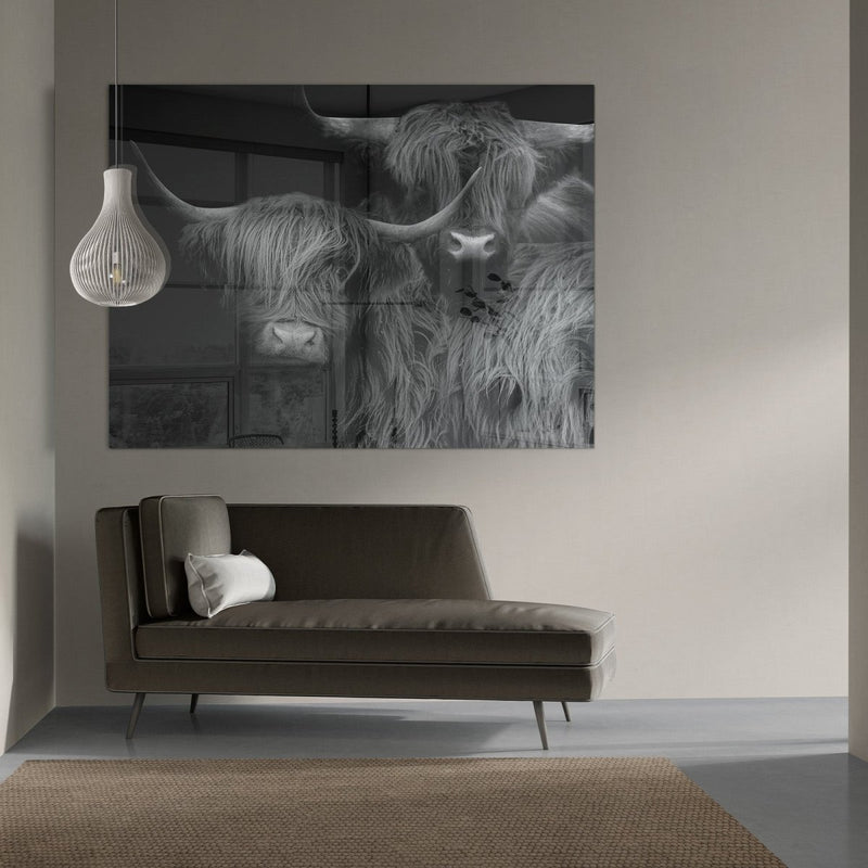 Een Schotse hooglander plexiglas schilderij in een modern interieur boven de bank, twee koeien uit Schotland met grote hoorns en ruige vacht in zwart wit. Hier hangt de wanddecoratie in de woonkamer tegen een witte wand
