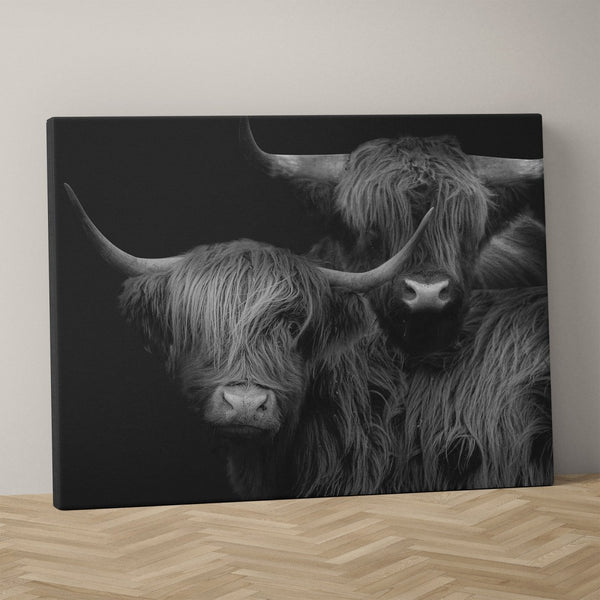 Schotse hooglander canvas in zwart wit gespannen op frame schotse hooglander schilderij.  Deze hooglander kun je bestellen op een afmeting naar keuze. Het schilderij schotse hooglander staat op de grond. 