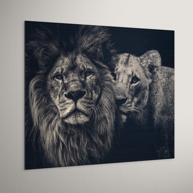 Lion couple op geborsteld aluminium