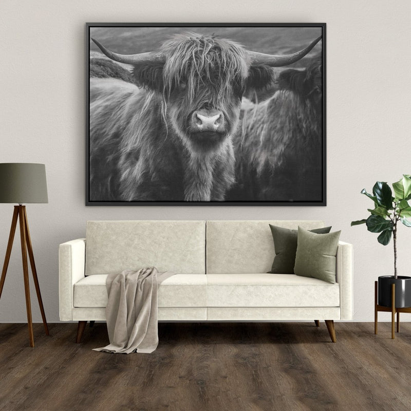 Hier hangt het Schotse hooglander werk aan de muur op canvas met lijst in zwart wit