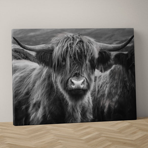 Schotse hooglander schilderij op canvas in zwart wit kleurstelling