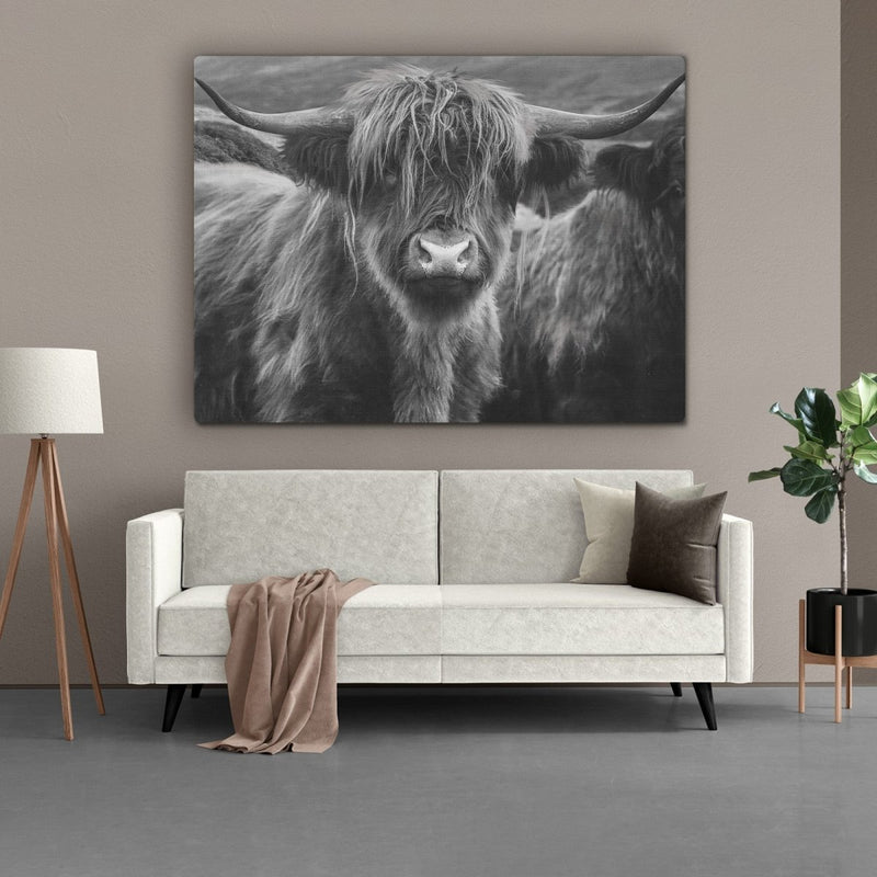 Het zwart wit schilderij van de schotse hooglander op canvas hangt hier boven de bank in een Scandinavisch interieur