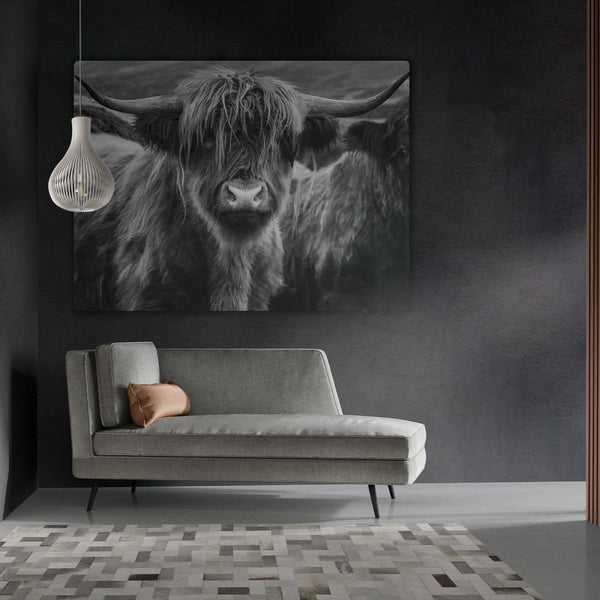 Iets leuks aan de muur in een industriële woonkamer, zo zou je deze wanddecoratie kunnen omschrijven. Het zwart wit schotse hooglander kop schilderij van canvas hangt hier tegen een zwarte wand.