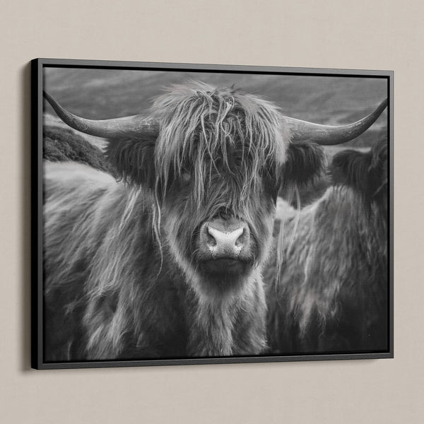 Schotse hooglander Fergie op canvas met lijst schilderij in zwart wit