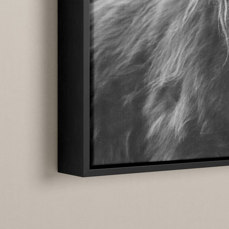 Canvas met lijst