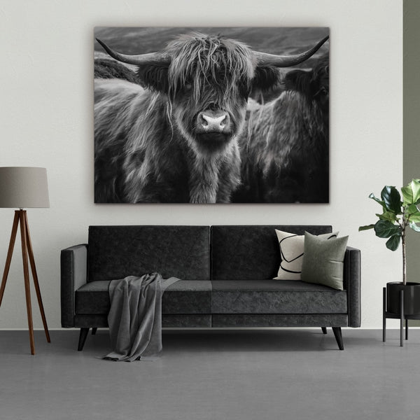 Schotse hooglander dibond schilderij in zwart wit boven de bank in de woonkamer