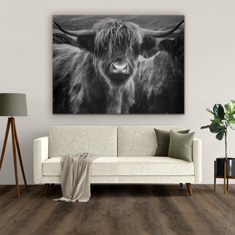 Aluminium schilderij van een zwart wit schotse hooglander boven de bank