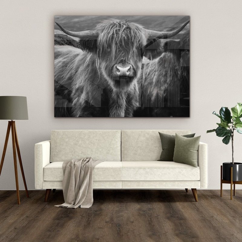 Schotse hooglander schilderij zwart wit, Fergie
